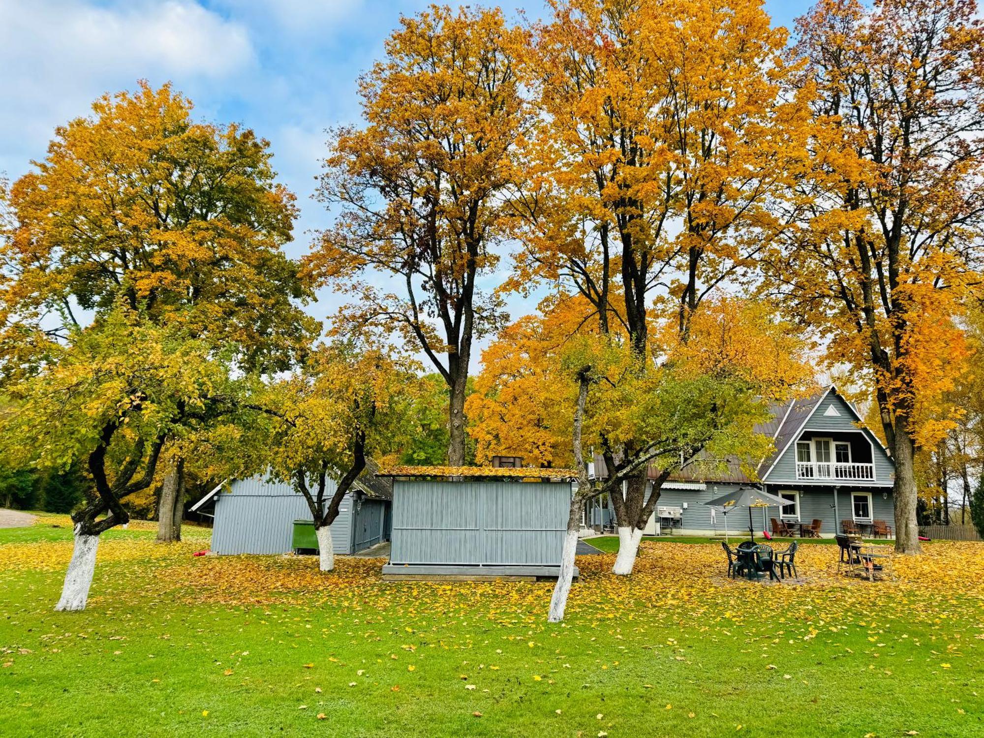 Maple House - Tarp Klevu Sveitasetur